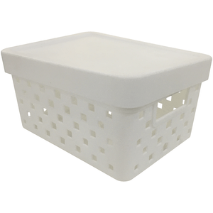 Caixa Organizadora Paramount Classic 19cmx14cmx10cm, com Tampa, Sortida - 896